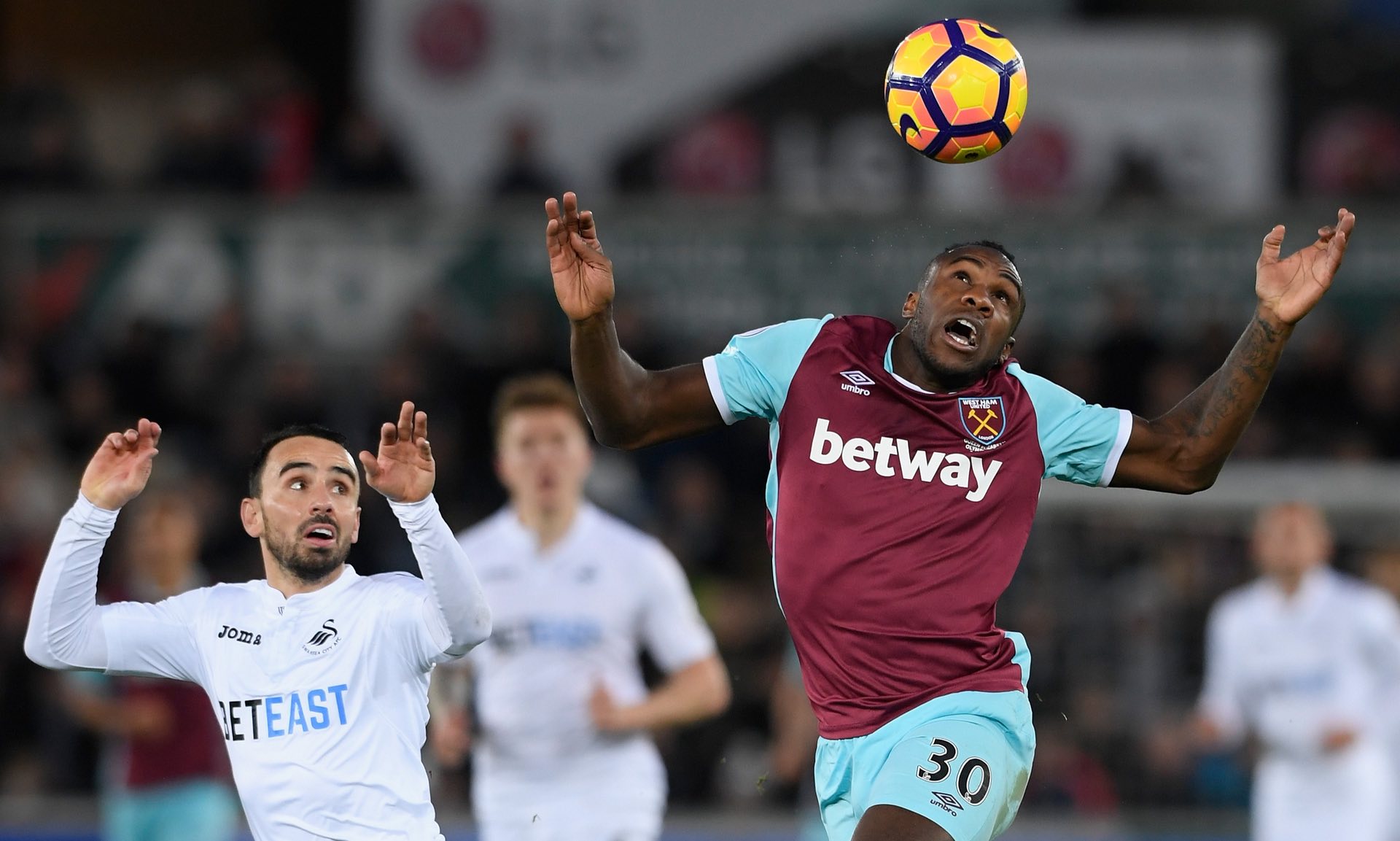 待与关注 待与关注