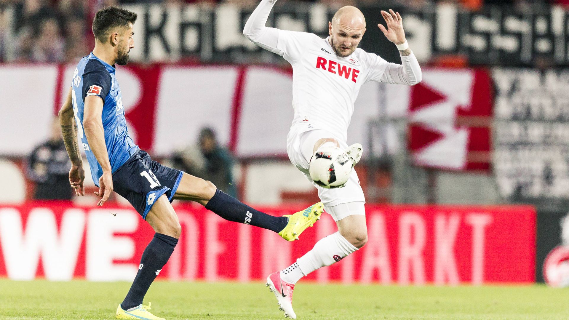 度与阵容均 度与阵容均